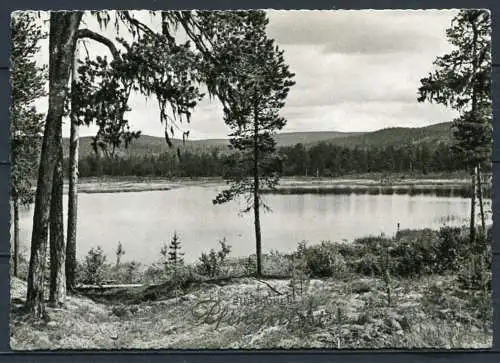 (2938) Ein frohes Pfingsfest / Landschaft am See - gel. 1960 - Nr. 175   J. L. M.