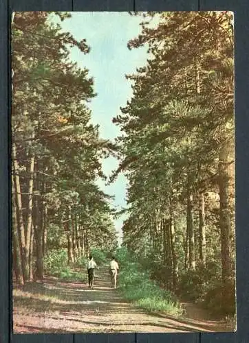 (2840) Pécs (deutsch: Fünfkirchen) / Landschaft im Gebirgszug Mecsek - gel. - Nr. X.-207/631.