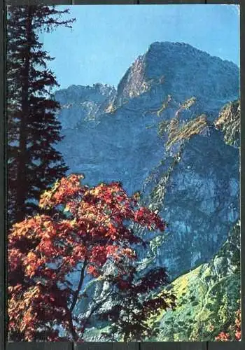 (2543) Die Hohe Tatra  (nahe Zakopane) - gel. - Büro Verlag "Ruch"