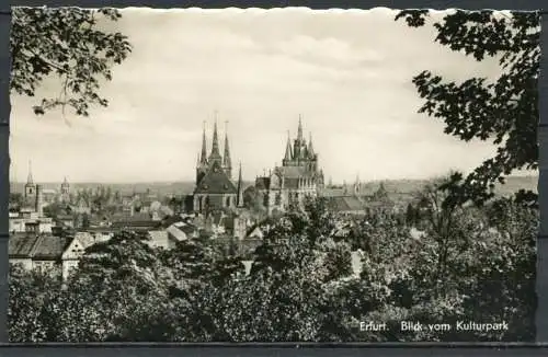 (2288) Erfurt / Blick vom Kulturpark - gel. 1961 - DDR - Echte Fotografie - 118   L 24760   DTVL