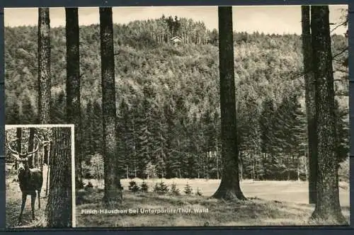 (2203) Pirsch-Häuschen bei Unterpörlitz/Thür. Wald - gel. - Bild und Heimat