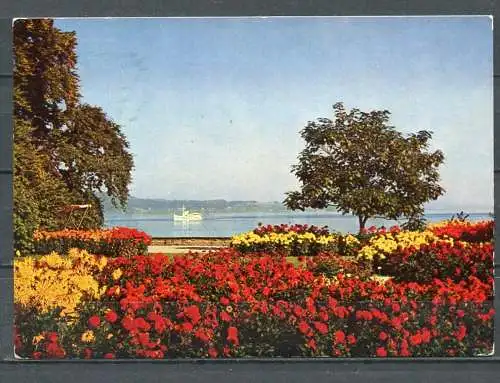 (1992) Insel Mainau im Bodensee / Dahlien im Ufergarten mit Blick auf Meersburg - gel. - Verlag: Mainauverwaltung