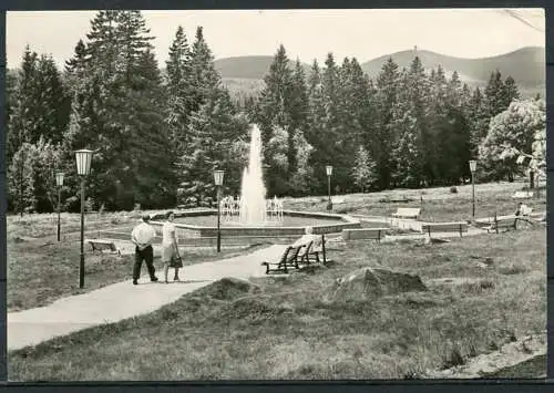 (1842) Höhenluftkurort Schierke / Kurpark - gel. - DDR - 36   N 3/76   J 0162   Postkartenverl. E. Riehn, Wernigerode