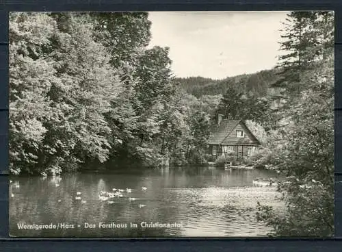 (1814) Wernigerode / Das Forsthaus im Christianental - n. gel. - DDR - Echt Foto