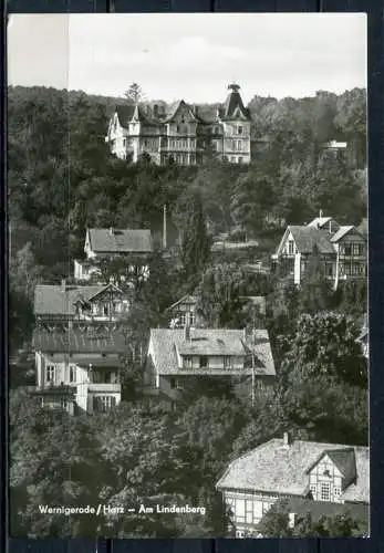 (1811) Wernigerode / Am Lindenberg - n. gel. - DDR - Echt Foto - A 4/77   03 07 20 674   Planet-Verlag