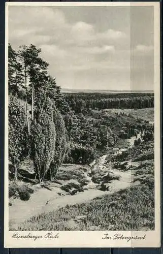 (1707) Lüneburger Heide / Im Totengrund - gel. - E 6484   Eine Lukow Karte