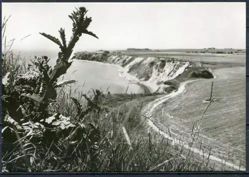 (1602) Insel Rügen / Blick von Kap Arkona - Echt Foto - n. gel. - DDR - Bild und Heimat