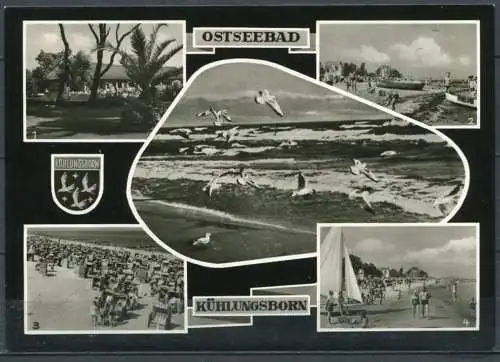 (1469) Ostseebad Kühlungsborn / Mehrbildkarte s/w - gel. 1963 - DDR - B 6/63  Felix Setecki