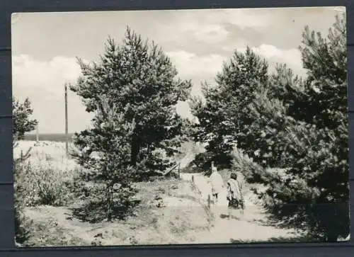 (1326) Trassenheide / Strandzugang / Echt Foto - gel. - DDR - Bild und Heimat