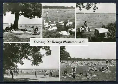 (1210) Kolberg / Mehrbildkarte s/w - gel. 1983 - DDR - Bild und Heimat