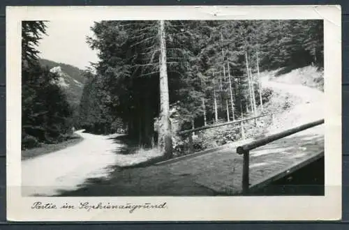 (0763) Partie im Sophienaugrund/ Otto-Ludwig-Stadt Eisfeld/ Thür. Echt Foto Handabzug - gel. - DDR