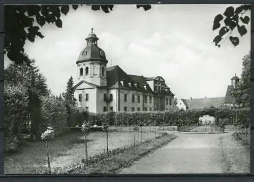 (0508) Eisenberg/Thür. Schloß Christianenburg m. Schloßkirche - Echt Foto - n. gel. - DDR - S 1/74