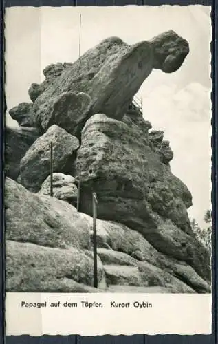 (0224) Kurort Oybin/ Papagei auf dem Töpfer - Echte Fotografie - gel. - DDR - Nr. 305  J 20/60  Bruno Scholz