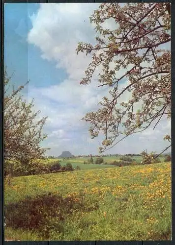 (0145) Sächs. Schweiz/ Blick zum Lilienstein - n. gel. - DDR - Bild und Heimat  A1/636/84  01 12 0799/24