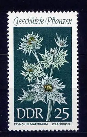 DDR Nr.1460         ** mint       (13387) ( Jahr: 1969 )