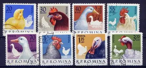 (011) Rumänien Nr.2145/52 komplett        O  gestempelt / Tiere Vögel Geflügel Hühner Gänse Enten