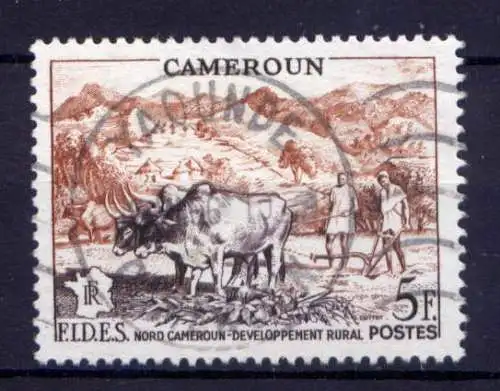 (015) Kamerun  Nr.312         O  gestempelt