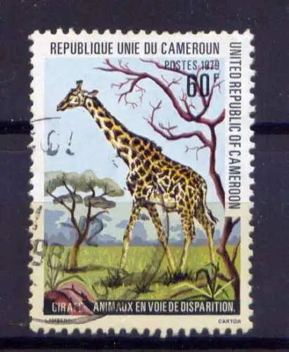 (028) Kamerun  Nr.905         O  gestempelt