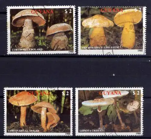 (097) Guyana  Nr.2480/3       O  gestempelt / Pilze Mushrooms