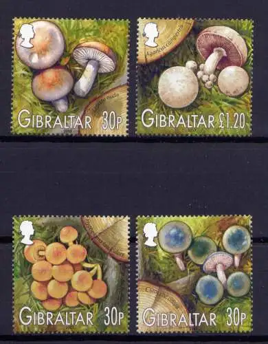 (099b) Gibraltar  Nr.1054/7       **  postfrisch / Pilze Mushrooms