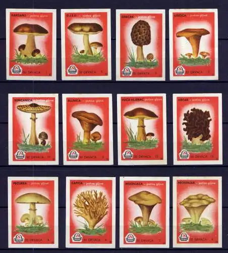 (103) 12 Streichholzetikette ?       / Pilze Mushrooms