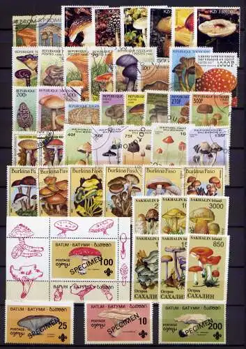 (096) Lot/ Sammlung / Pilze Mushrooms