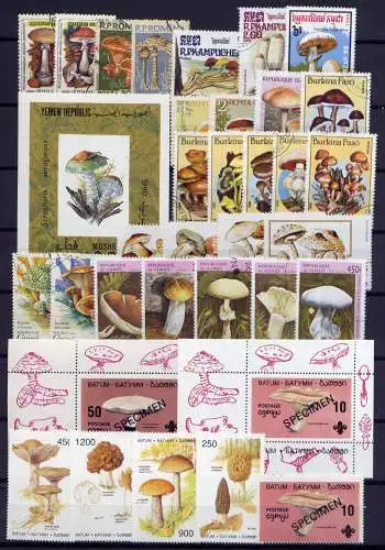 (097) Lot/ Sammlung / Pilze Mushrooms