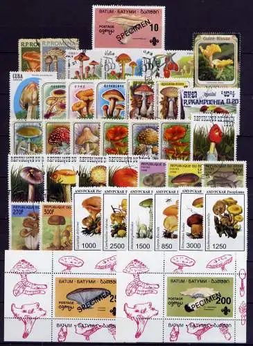 (099) Lot/ Sammlung / Pilze Mushrooms