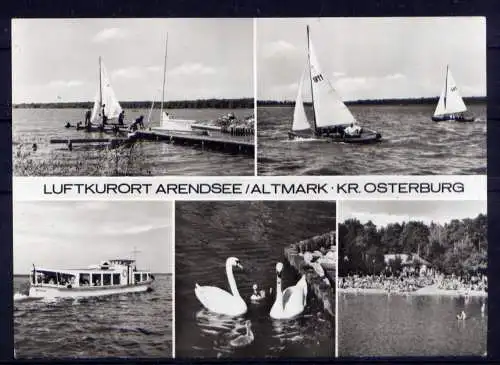 (4697) Arendsee Schwäne Boote  - beschrieben / DDR Sachsen-Anhalt