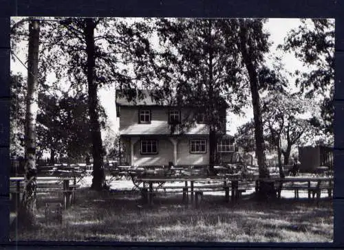 (4754) Hohenstein - Ennstthal  - unbeschrieben / DDR Sachsen Waldcafe Birkenhain