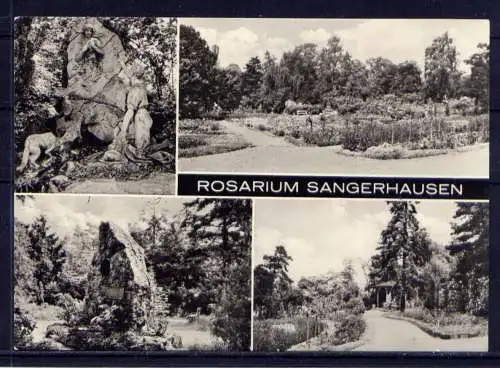 (4778) Sangerhausen - unbeschrieben / DDR Thüringen Rosarium