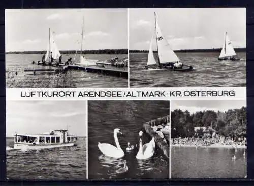 (4779) Arendsee - unbeschrieben / DDR Sachsen-Anhalt Boote Hafen Schwäne