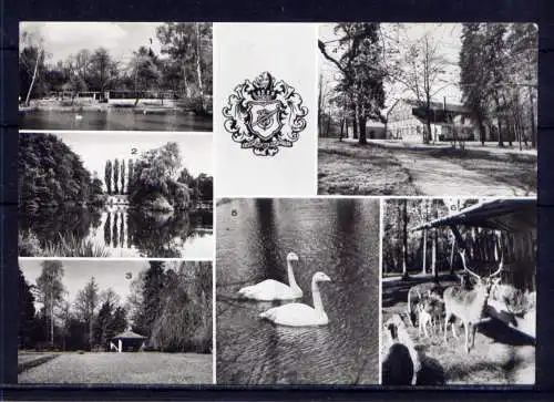 (4814) Limbach - Oberfrohna  - unbeschrieben / DDR Sachsen Hotel Stadtpark Schwäne