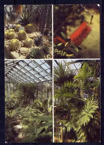 (4816) Jena  - beschrieben / DDR Thüringen Botanischer Garten