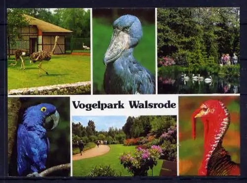 (5324) Walsrode  - unbeschrieben / Niedersachsen Vogelpark