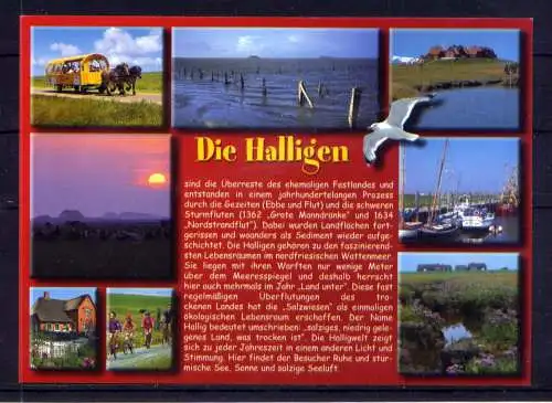 (5409) Die Halligen  - unbeschrieben / Schleswig-Holstein Möwe Kutsche Schiffe