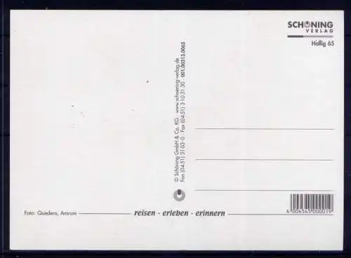 (5410) Die Halligen  - unbeschrieben / Schleswig-Holstein Robbe Schafe Schiffe
