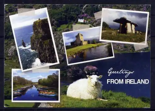 (5531) Irland  - beschrieben / Irland Hafen Burg Schaf