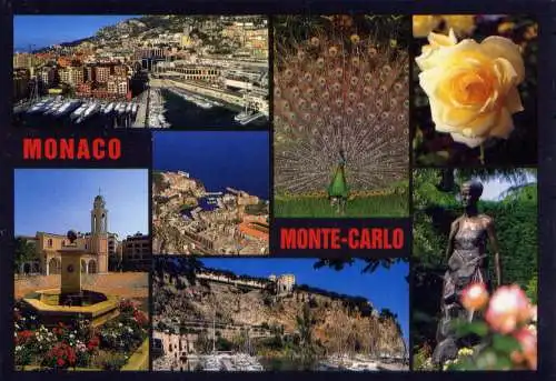 (5542) Monte Carlo  - unbeschrieben / Monaco Fontveille Pfau Rose