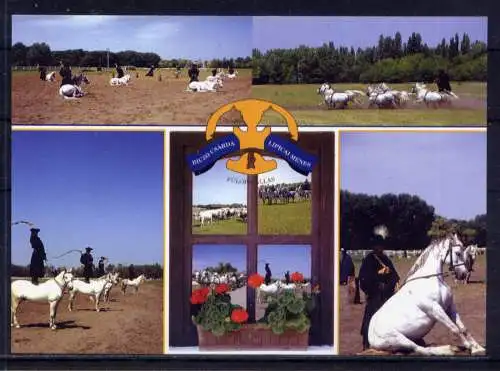 (5680) Fülöpszallas - unbeschrieben / Ungarn Lipizaner Pferde