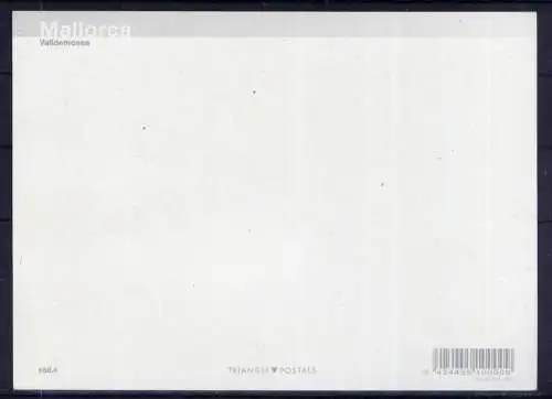 (5670**) Valldemossa - unbeschrieben / Spanien Mallorca Kirche
