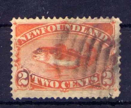 (1029) Canada Neufundland Nr.37        O  gestempelt