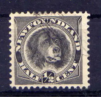 (1032) Canada Neufundland Nr.41        O  gestempelt