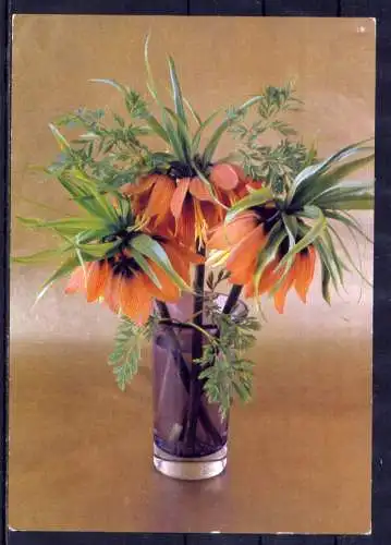 (5881) Blumenstrauß in Vase  unbeschrieben DDR