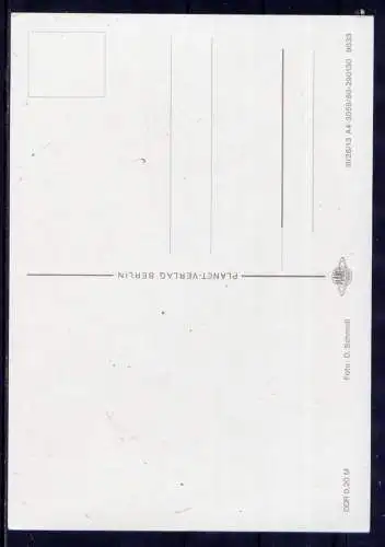(5882) Blumenstrauß in Vase  unbeschrieben DDR