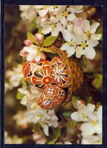 (5892) Ostern Eierkorb   unbeschrieben DDR