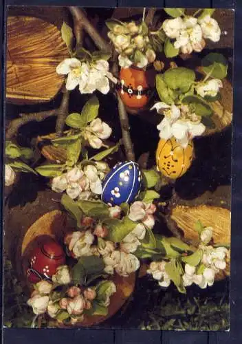 (5894) Ostern Ostereier Baumblüten   unbeschrieben DDR