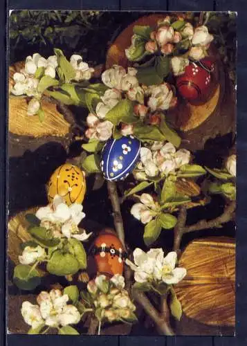 (5895) Ostern Ostereier Baumblüten   unbeschrieben DDR
