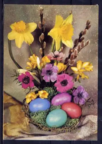(5896) Ostern Ostereier Narzissen   unbeschrieben DDR