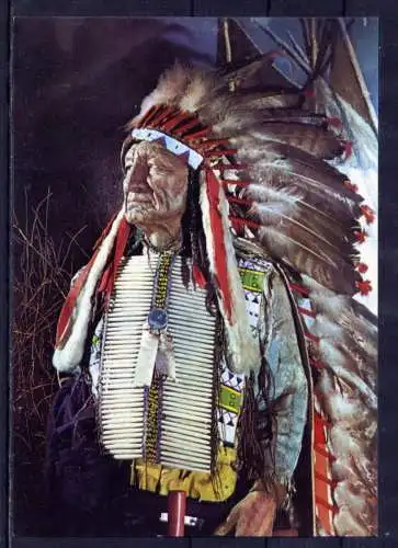 (5939) Radebeul - unbeschrieben / Sachsen Indianer-Museum Häuptling American Horse